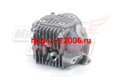 Головка цилиндра Delta, Zodiak, OB-70 в сборе 47мм (70см) СЕРЕБРИСТАЯ фото 3